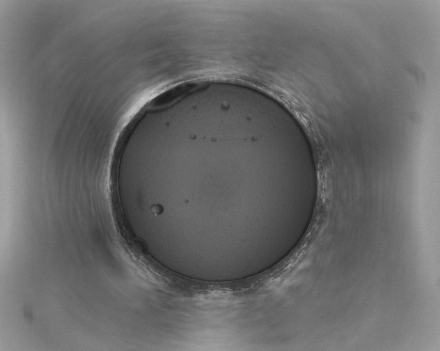 X0000115030196200911161513