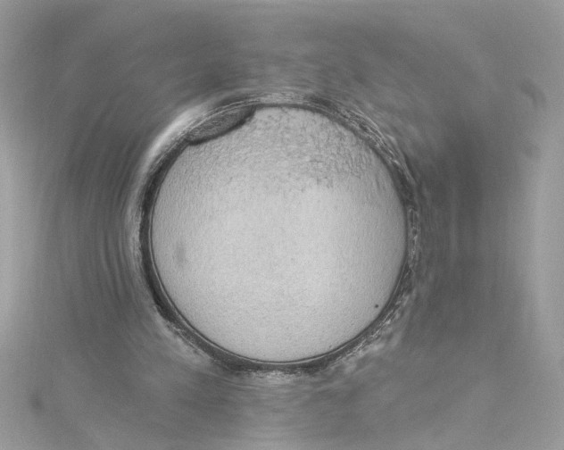 X0000115030197200911161513