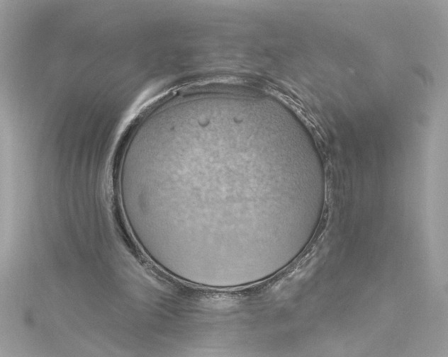 X0000115030198200911161513