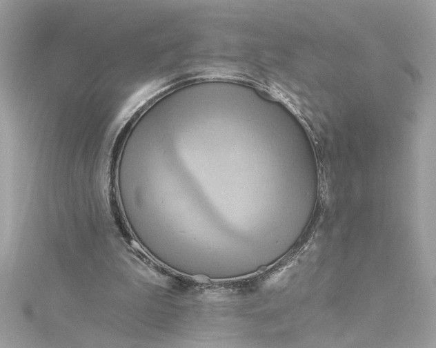 X0000115030199200911161513