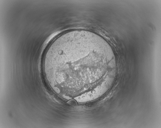 X0000115030200200911161513