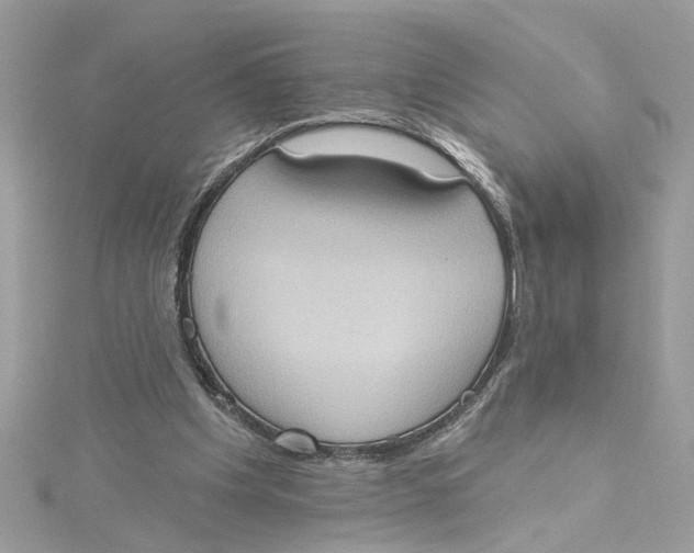 X0000115030201200911161513