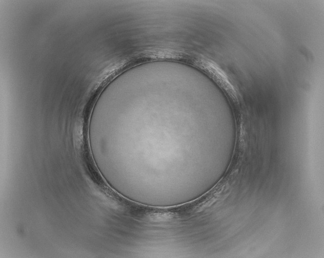 X0000115030202200911161513