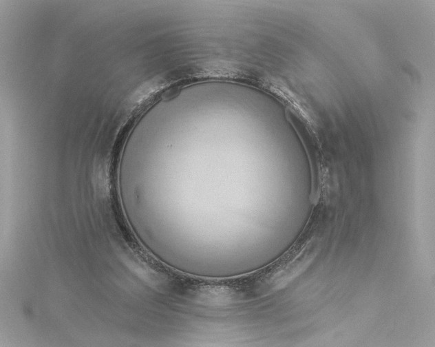 X0000115030203200911161513