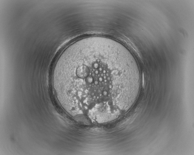 X0000115030204200911161513