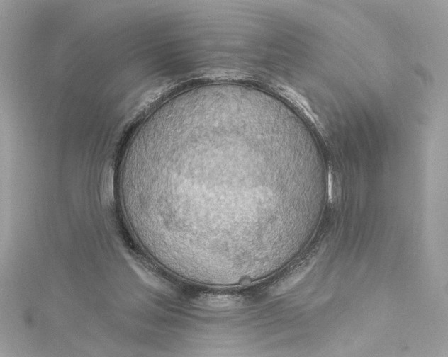 X0000115030205200911161513