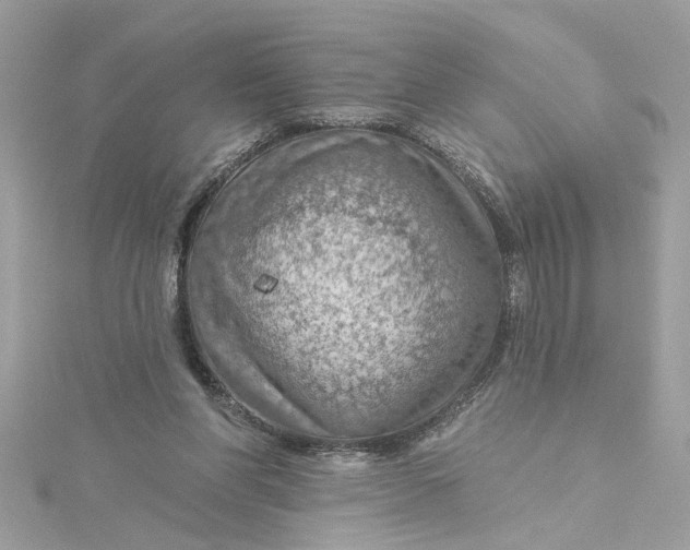 X0000115030206200911161513