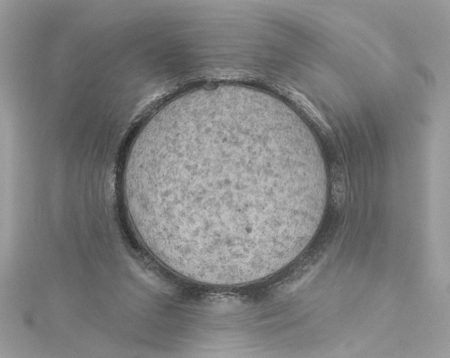 X0000115030207200911161513