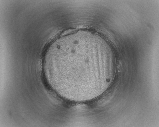 X0000115030210200911161513