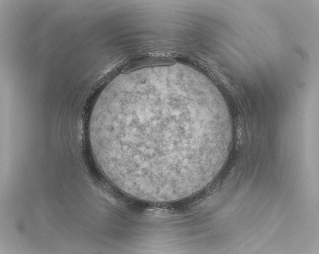 X0000115030211200911161513