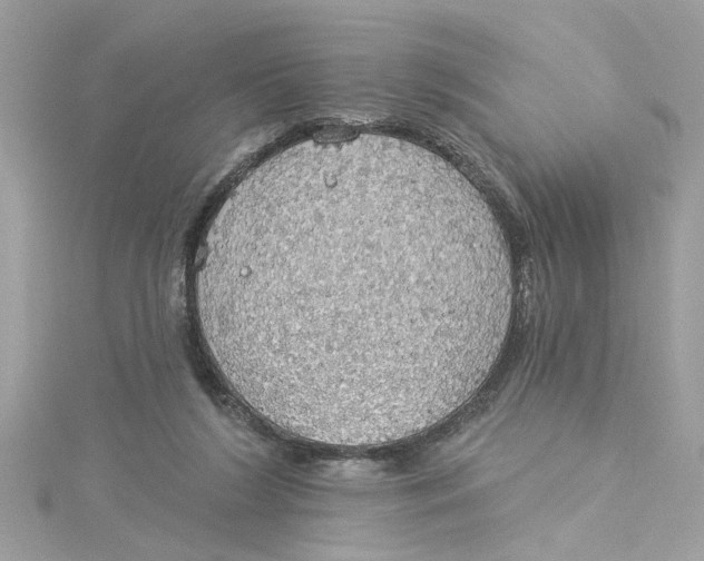 X0000115030212200911161513