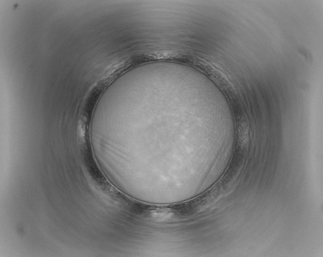 X0000115030214200911161513