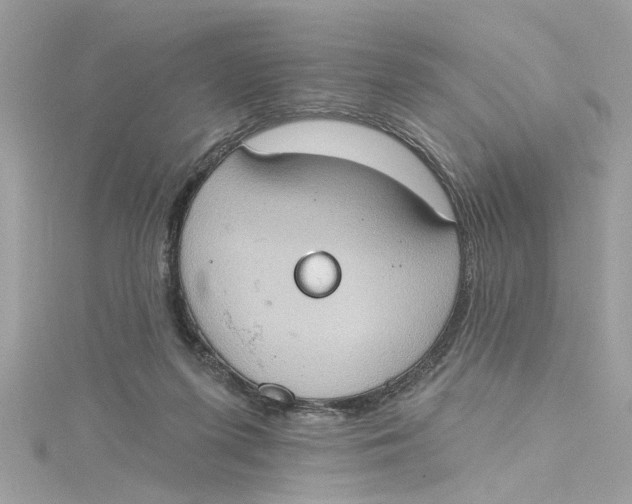 X0000115030215200911161513