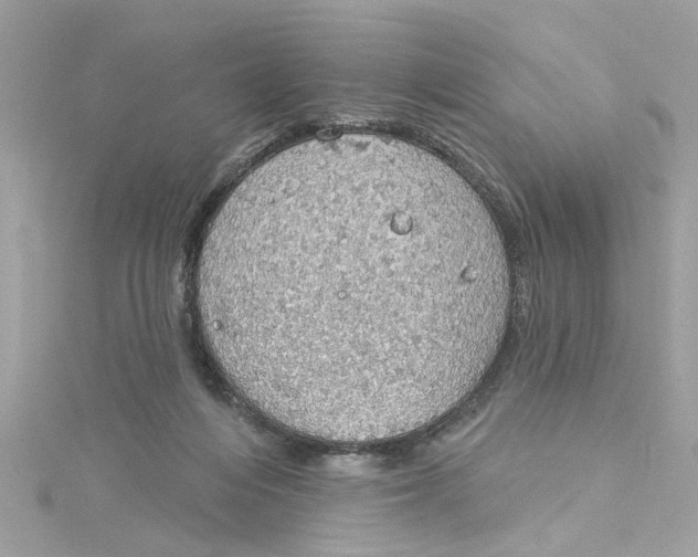 X0000115030216200911161513