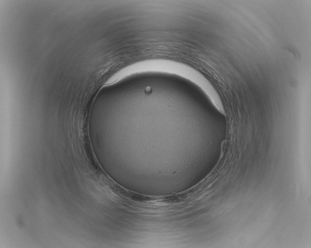 X0000115030219200911161513