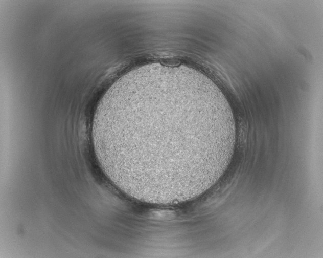 X0000115030220200911161513