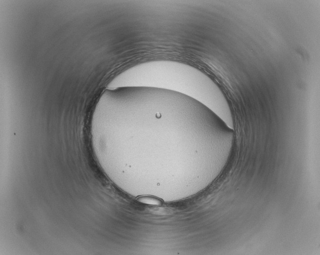 X0000115030221200911161513