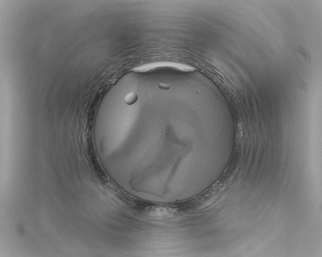 X0000115030223200911161513