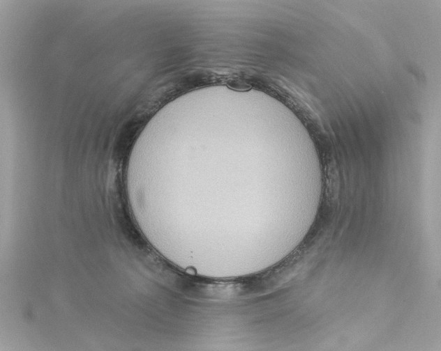 X0000115030225200911161513