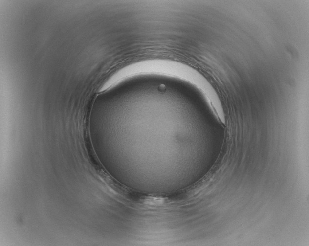 X0000115030227200911161513