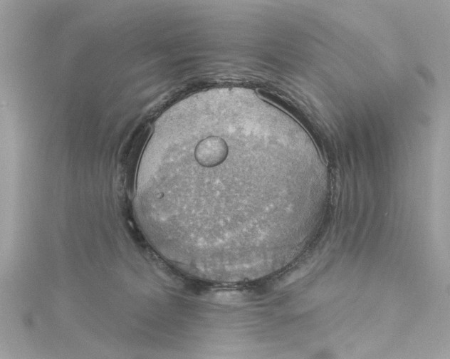 X0000115030228200911161513