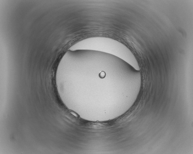 X0000115030229200911161513