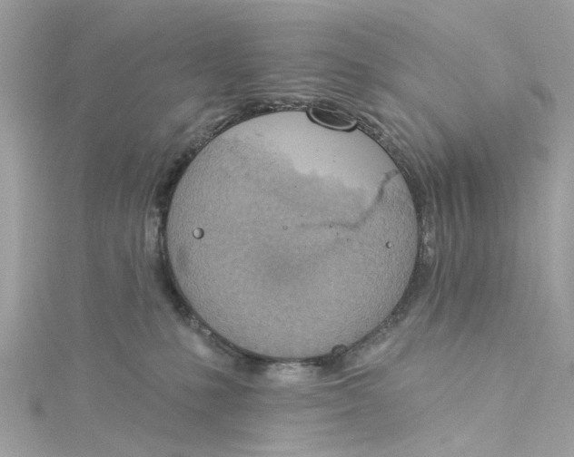 X0000115030231200911161513