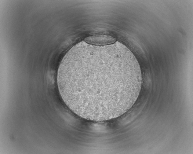 X0000115030232200911161513