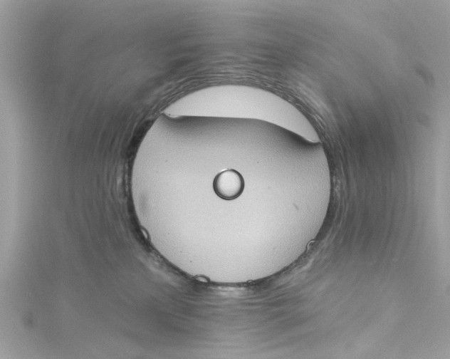 X0000115030233200911161513