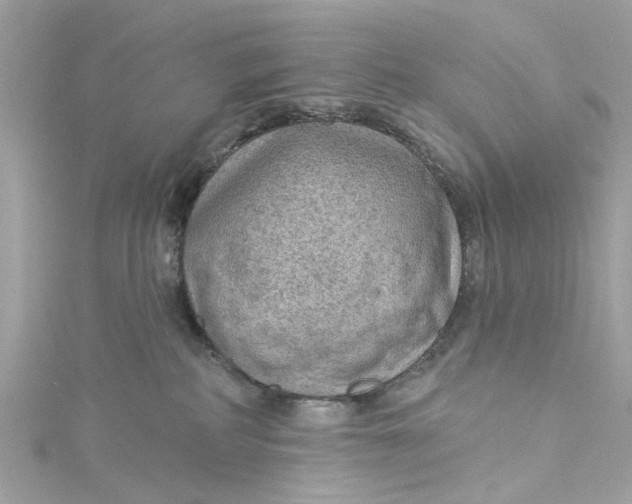 X0000115030234200911161513