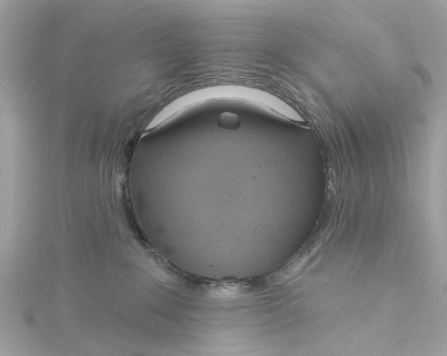 X0000115030235200911161513