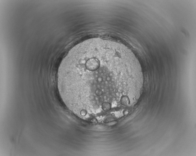 X0000115030236200911161513