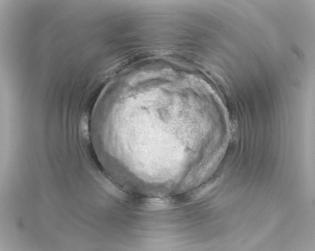 X0000115030238200911161513