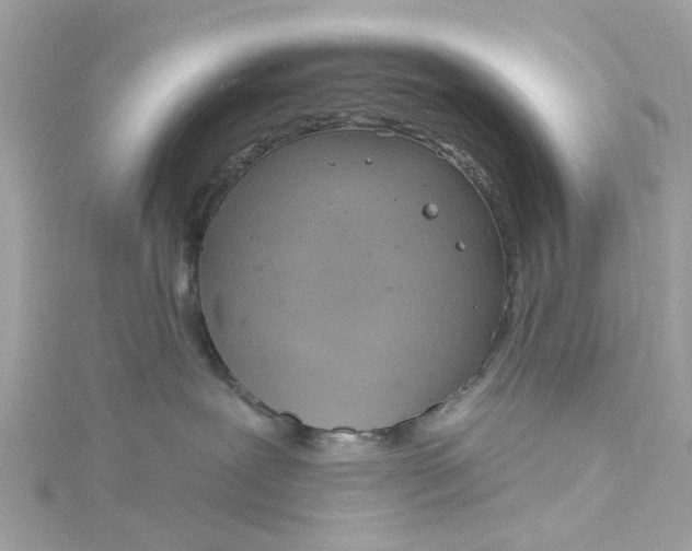 X0000115030239200911161513