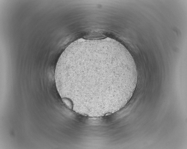 X0000115030240200911161513