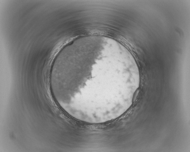 X0000115030241200911161512