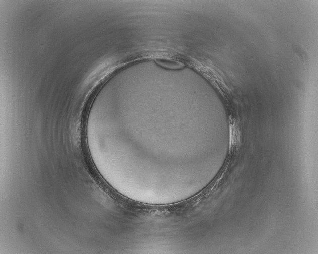 X0000115030243200911161512