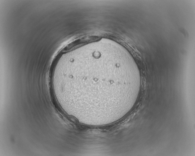 X0000115030244200911161512