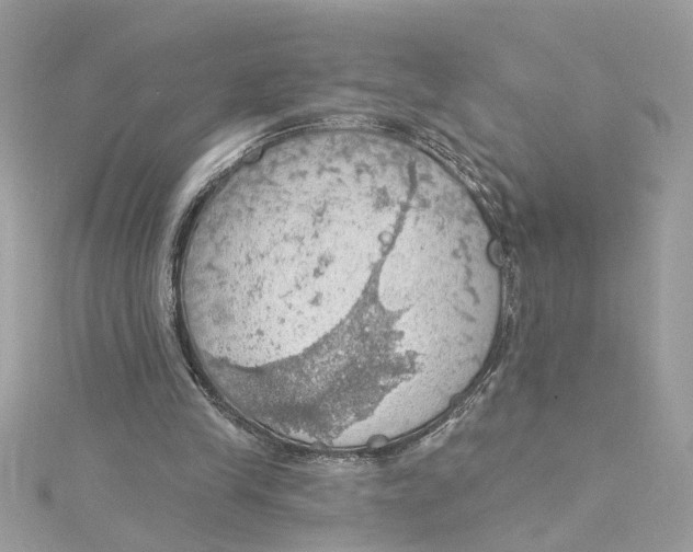 X0000115030245200911161512