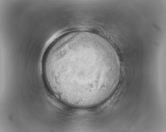 X0000115030246200911161512