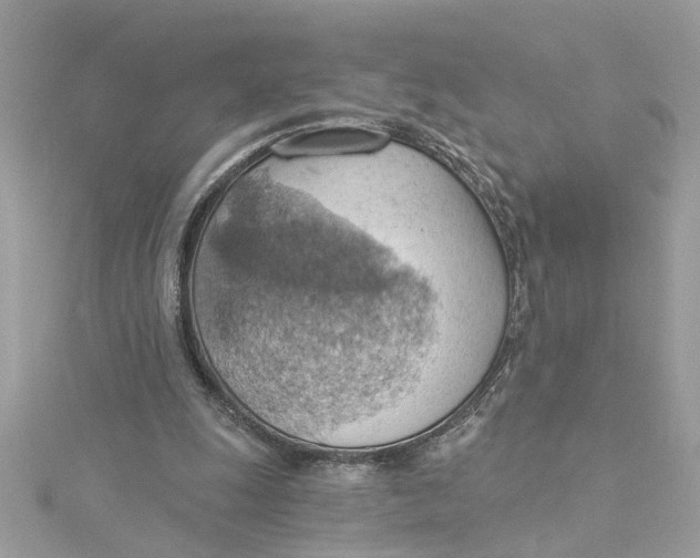 X0000115030247200911161512