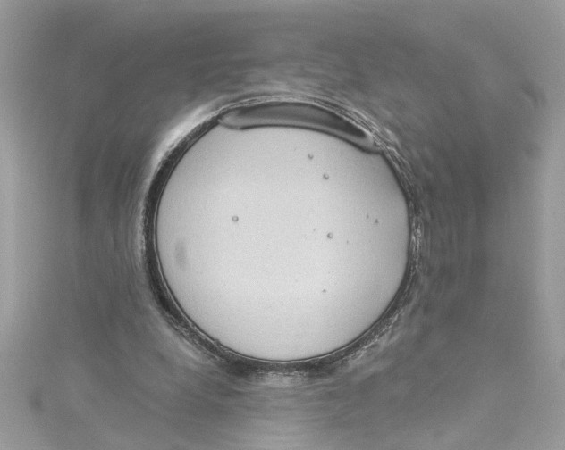 X0000115030248200911161512