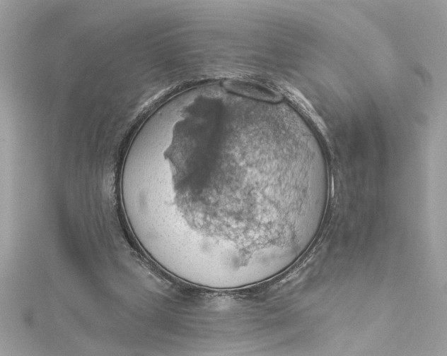 X0000115030249200911161512