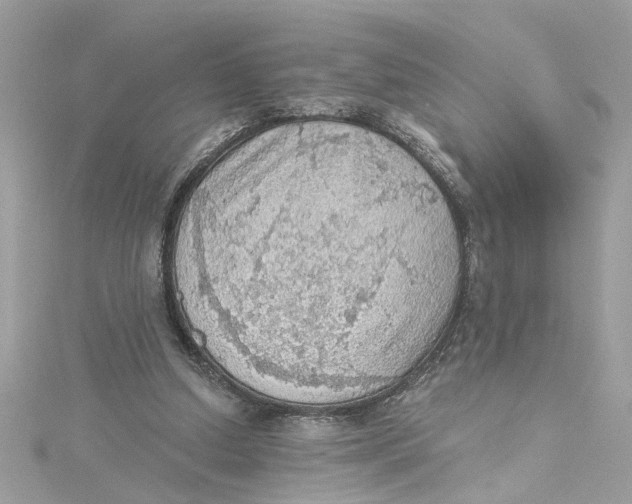 X0000115030250200911161512