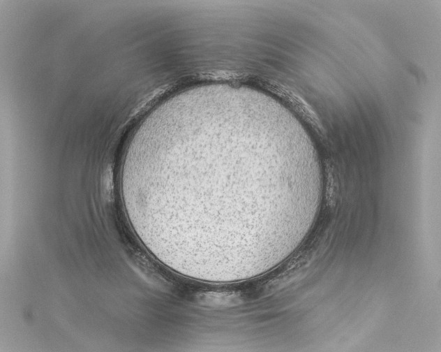 X0000115030251200911161512