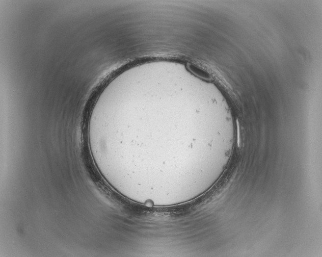 X0000115030252200911161512