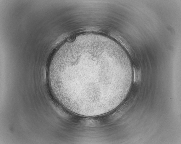 X0000115030253200911161512