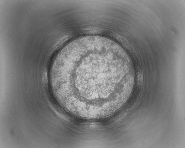 X0000115030254200911161512