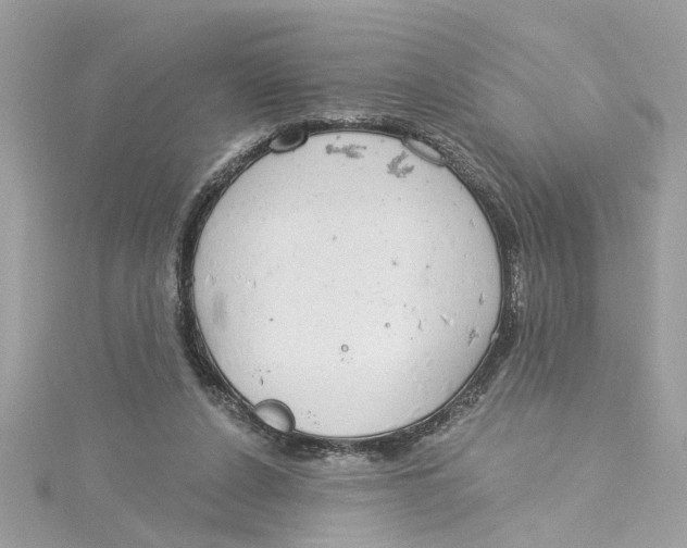 X0000115030256200911161513