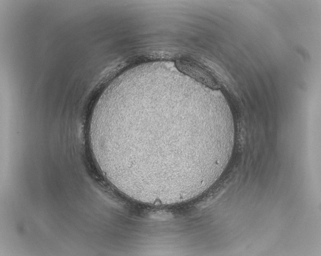 X0000115030258200911161513